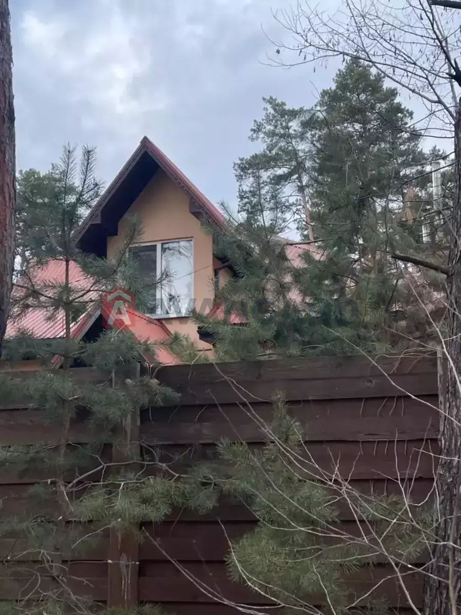 216 ��.�. ���� 3