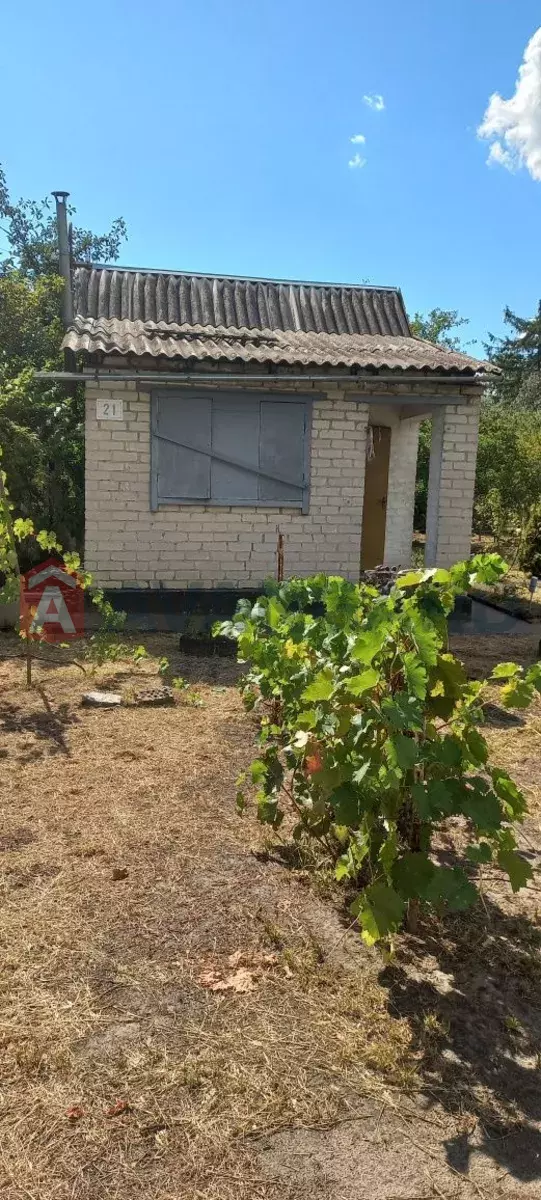 ����, 20 ��.�. ���� 6