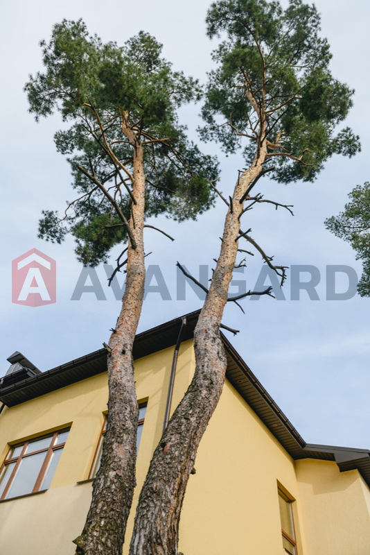 ��������, 315 ��.�. ���� 6