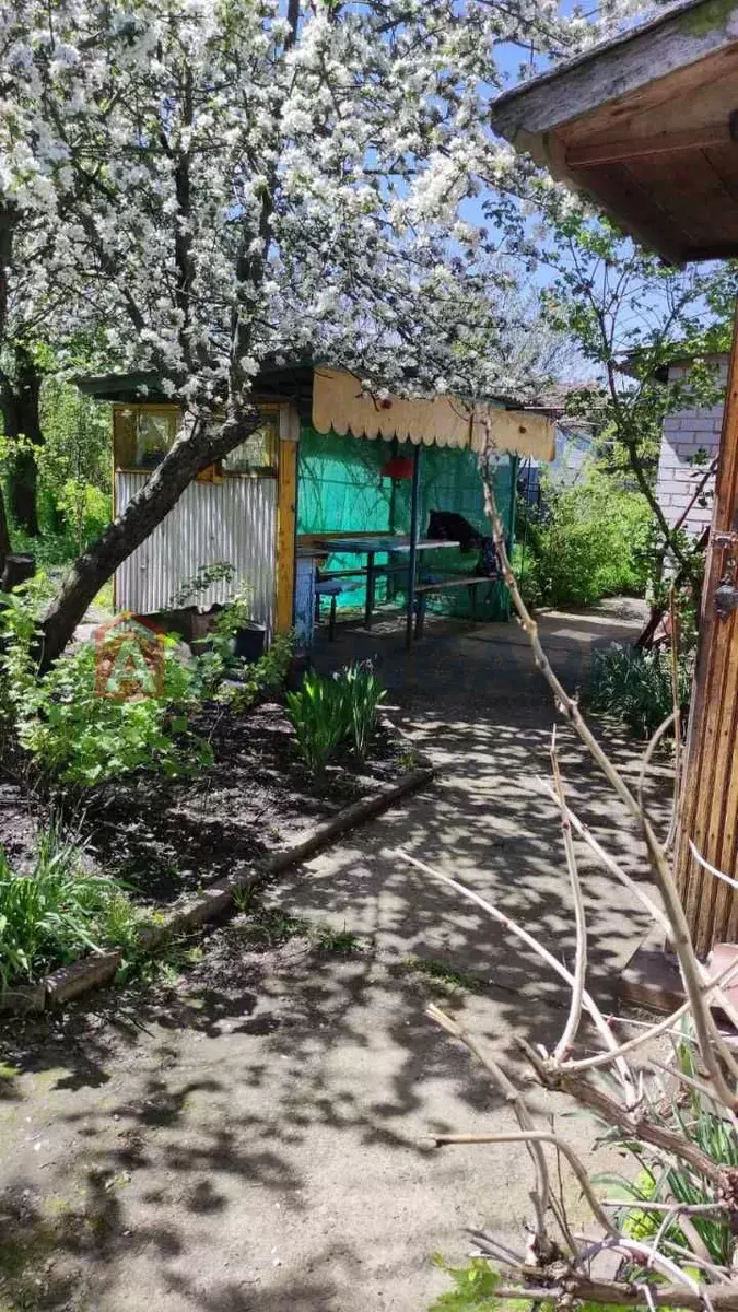 �������, 64 ��.�. ���� 5