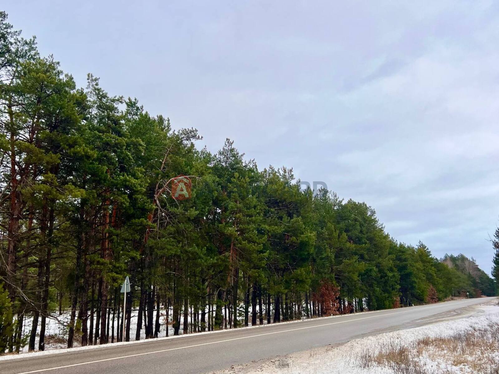 ����, 50 ��.�. ���� 21