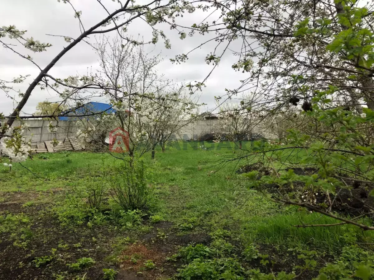 �������, 55 ��.�. ���� 4