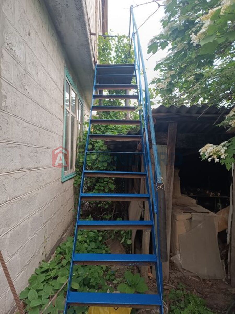 ����, 64 ��.�. ���� 5