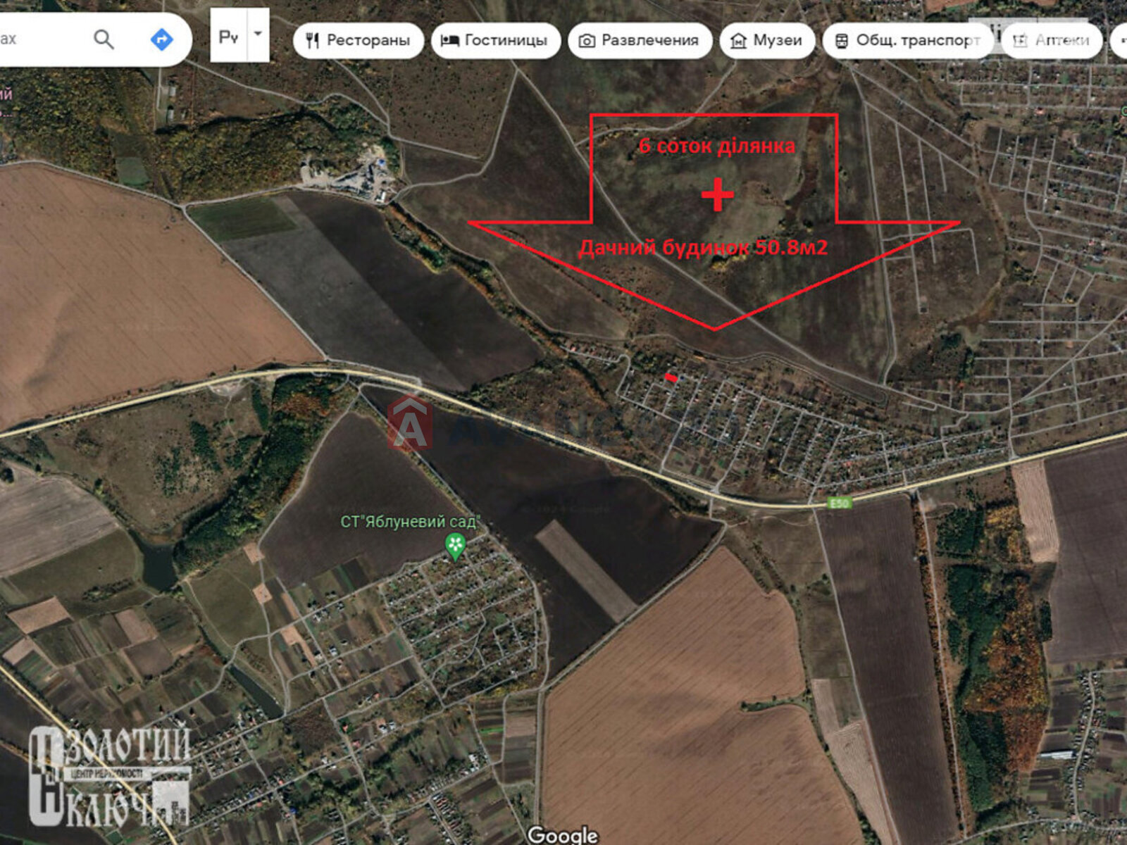 �������, 50 ��.�. ���� 2