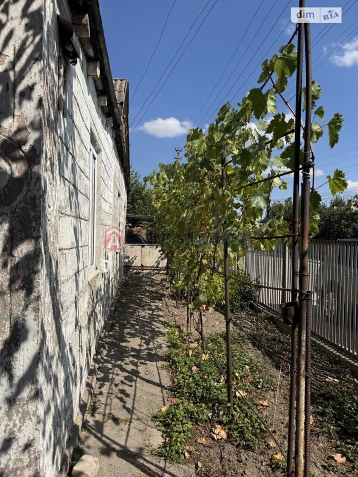 ������� �������, 52 ��.�. ���� 4