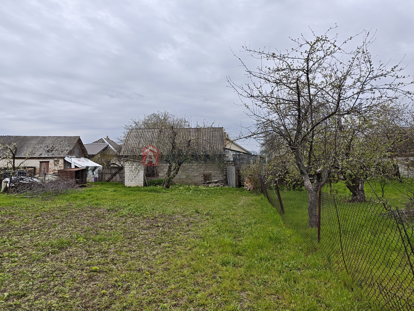 �������, 98 ��.�. ���� 11