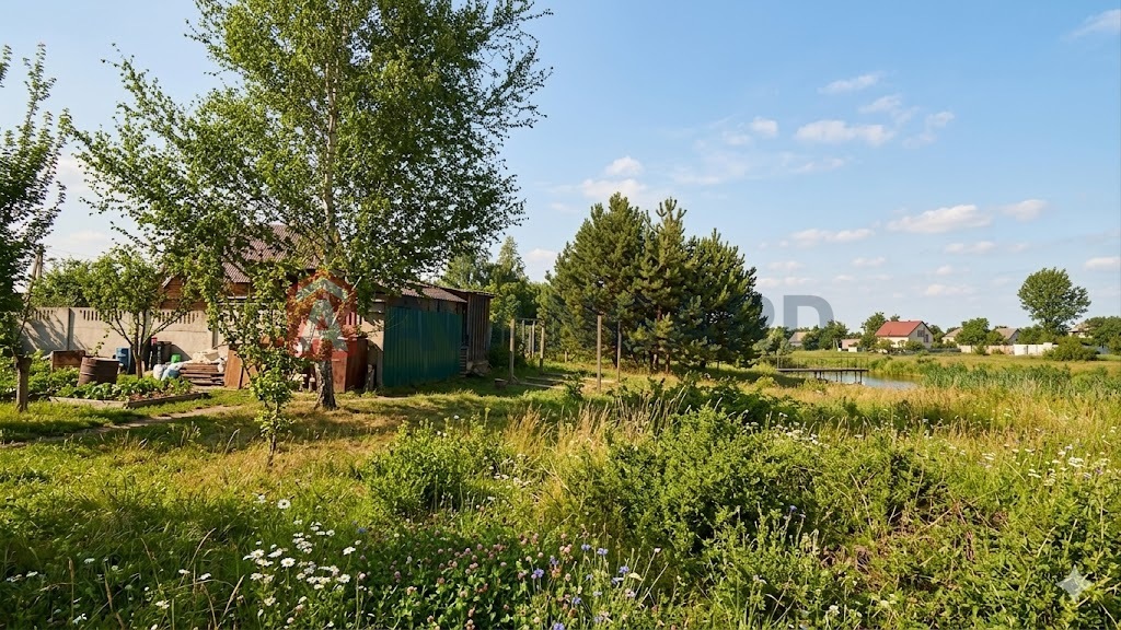 �������, 85 ��.�. ���� 29