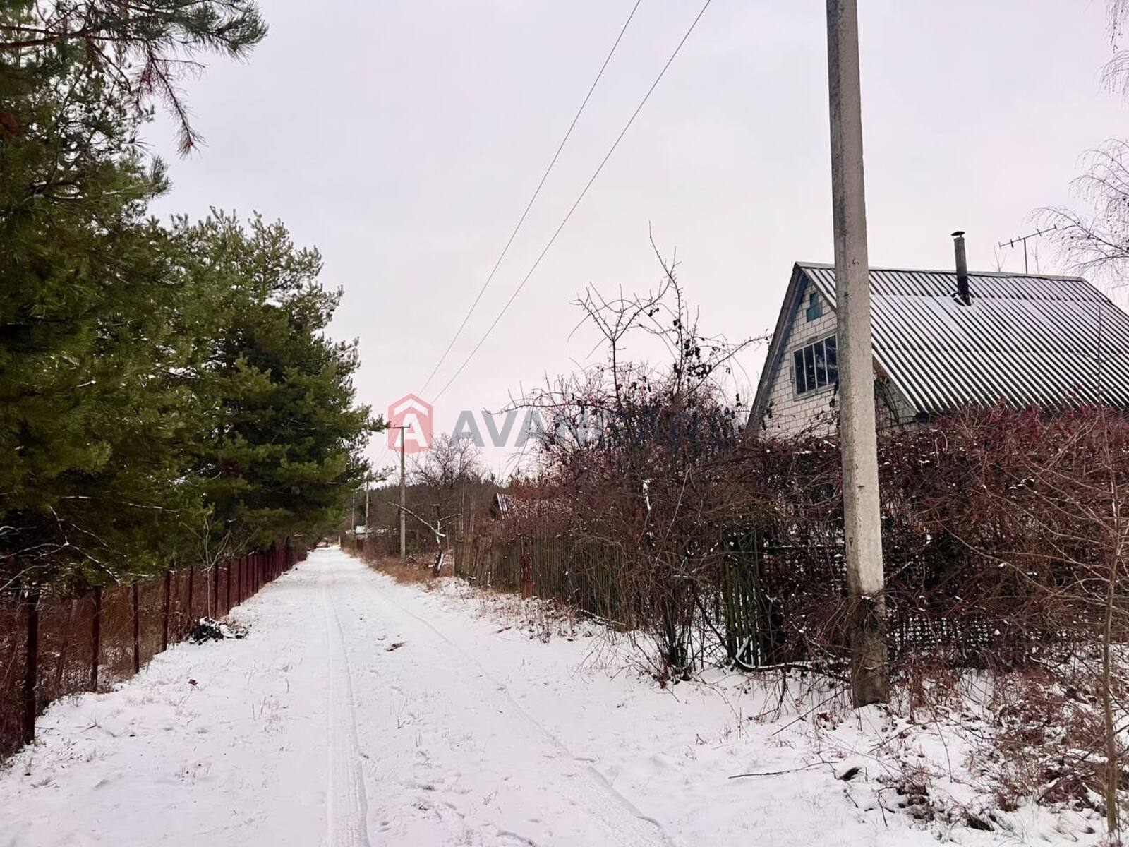 ����, 50 ��.�. ���� 10