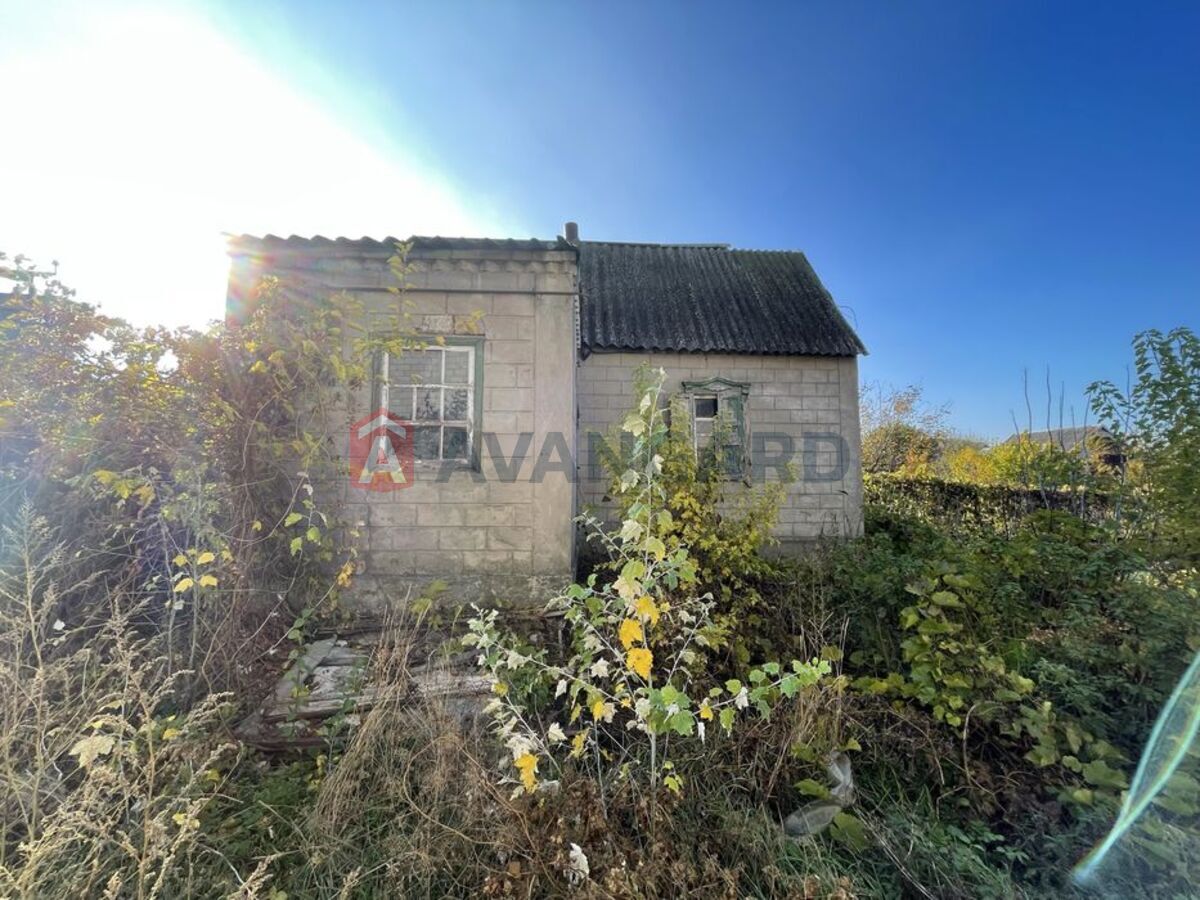 ���, 250 ��.�. ���� 4