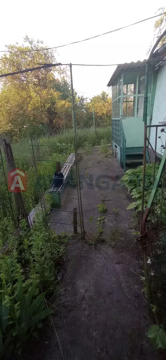 ����, 23 ��.�. ���� 7