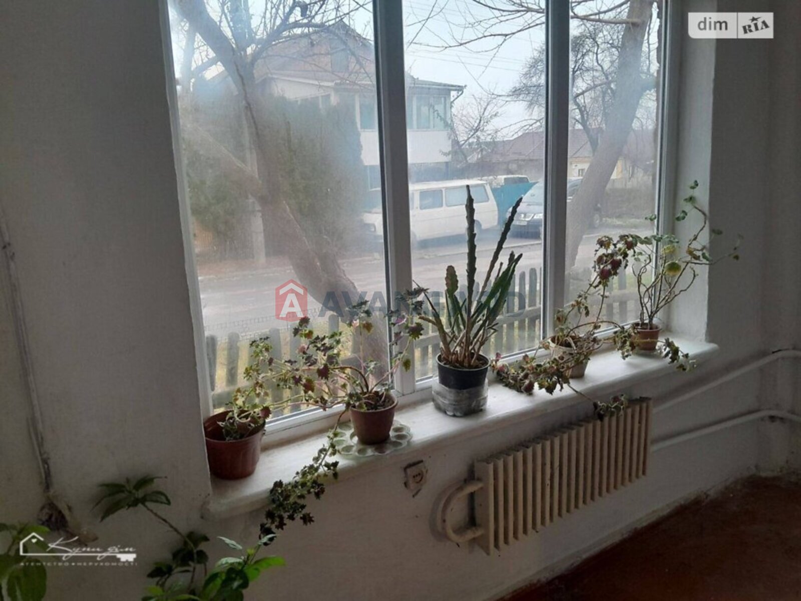 �������, 79 ��.�. ���� 11