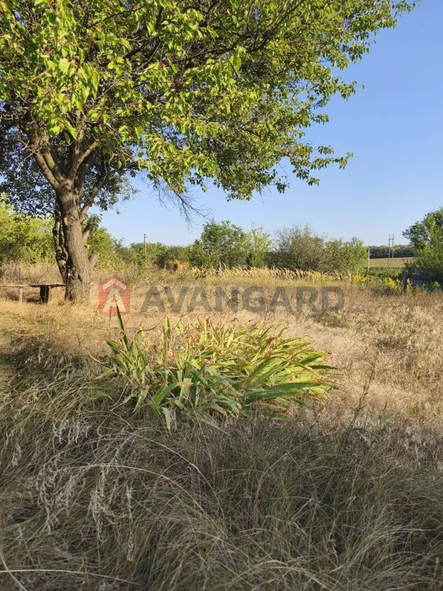 ����, 10 ��.�. ���� 3