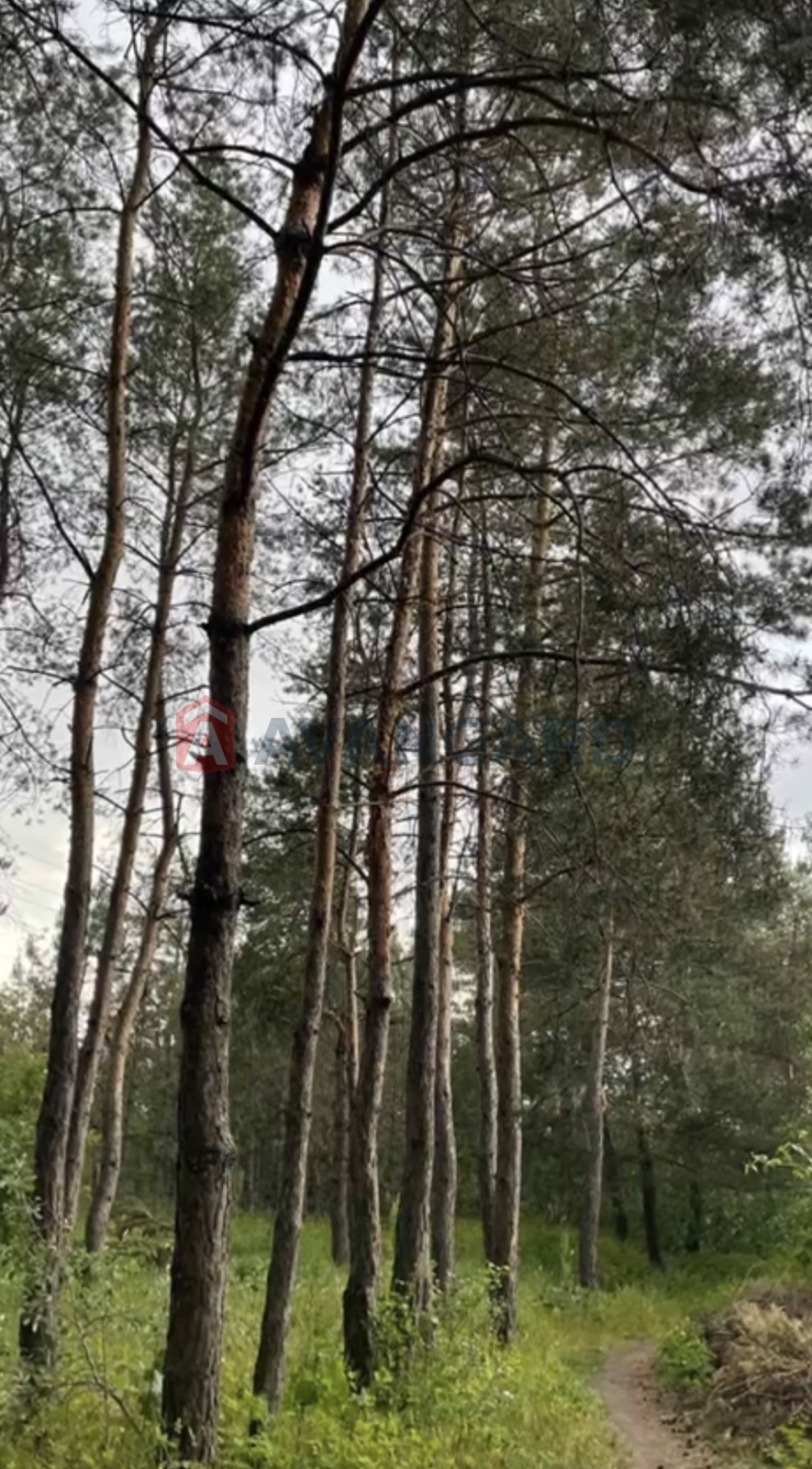 ����, 350 ��.�. ���� 24