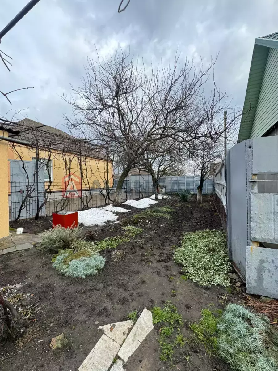 �������, 84 ��.�. ���� 7