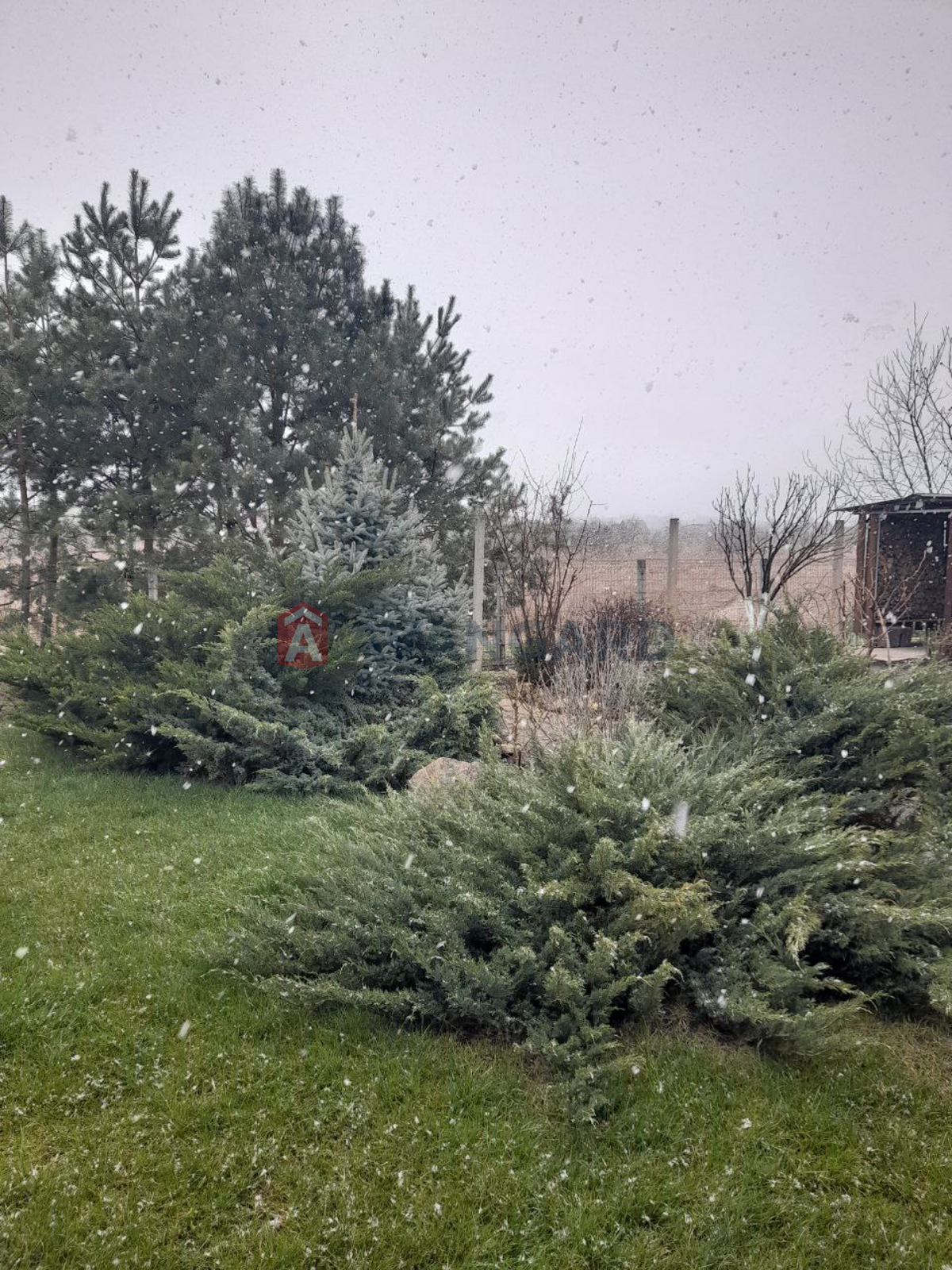 ���, 85 ��.�. ���� 26