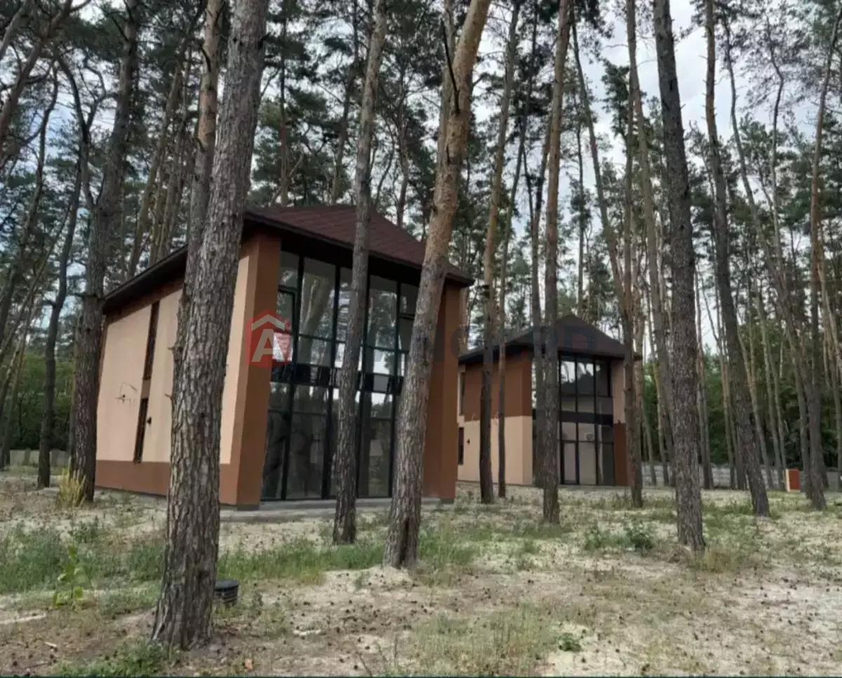 100 ��.�. ���� 1