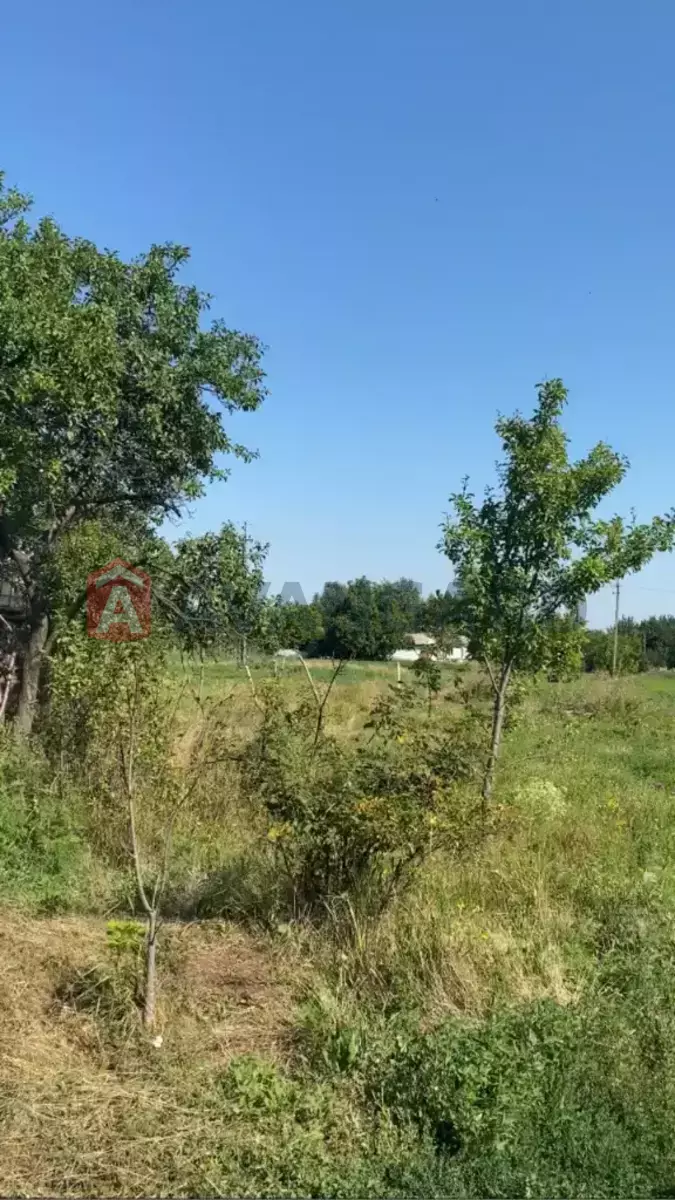 �������, 156 ��.�. ���� 7