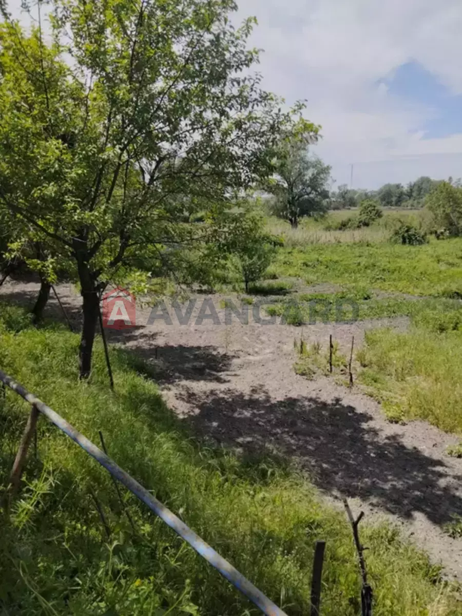 �������, 54 ��.�. ���� 23