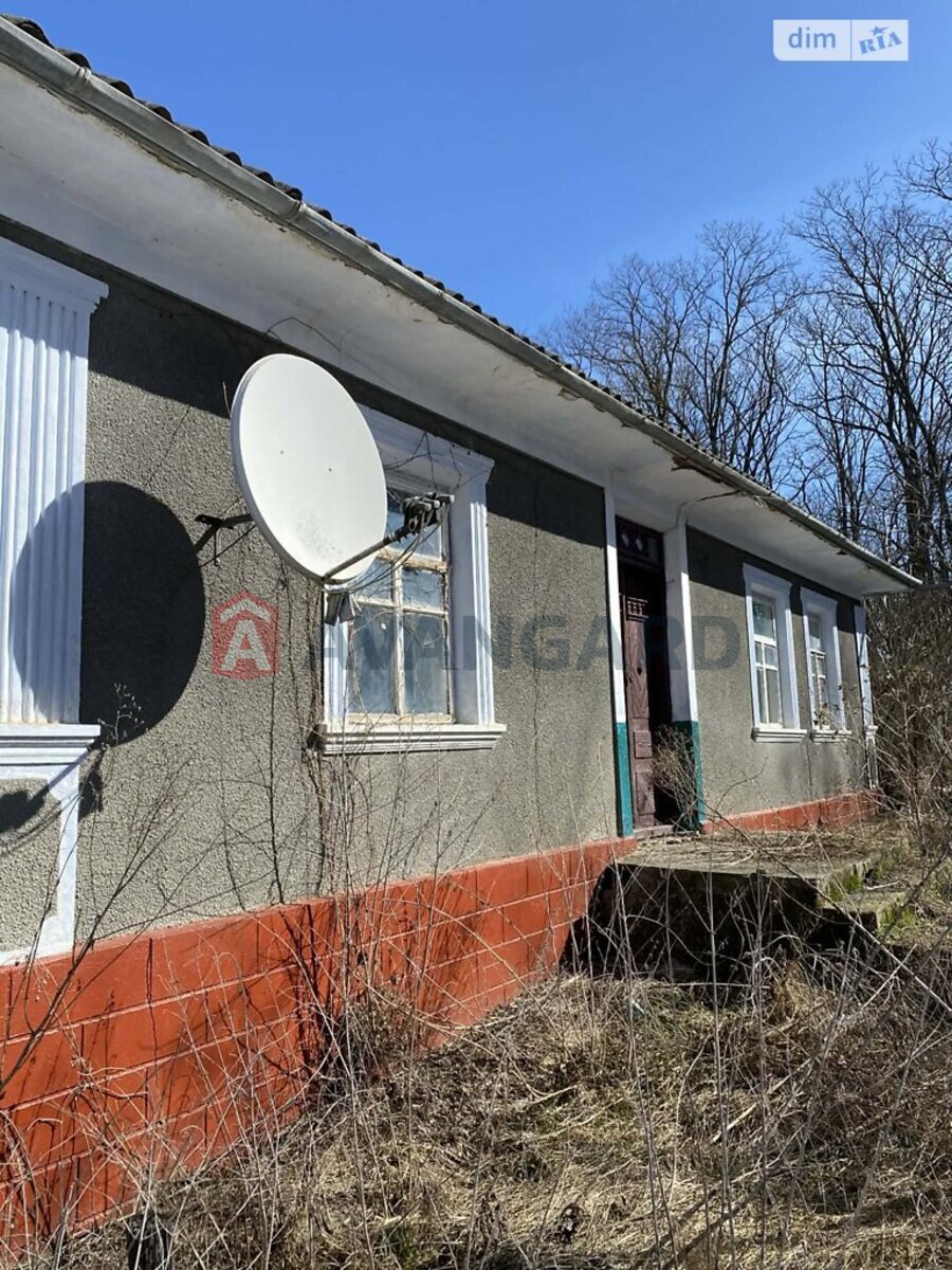 �������, 80 ��.�. ���� 24