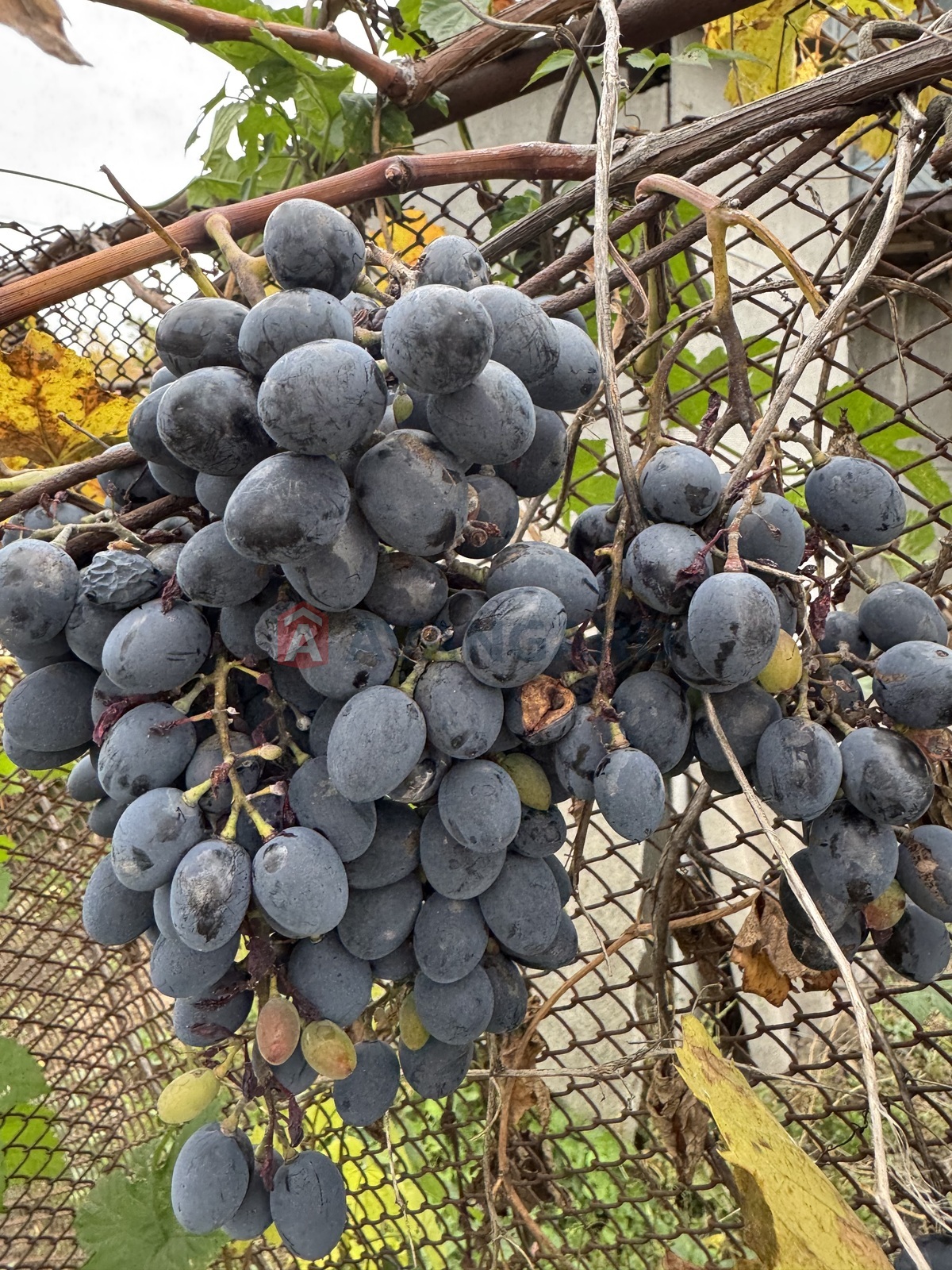 Дача, 55 кв.м. фото 10 Дача, 55 кв.м. фото 10