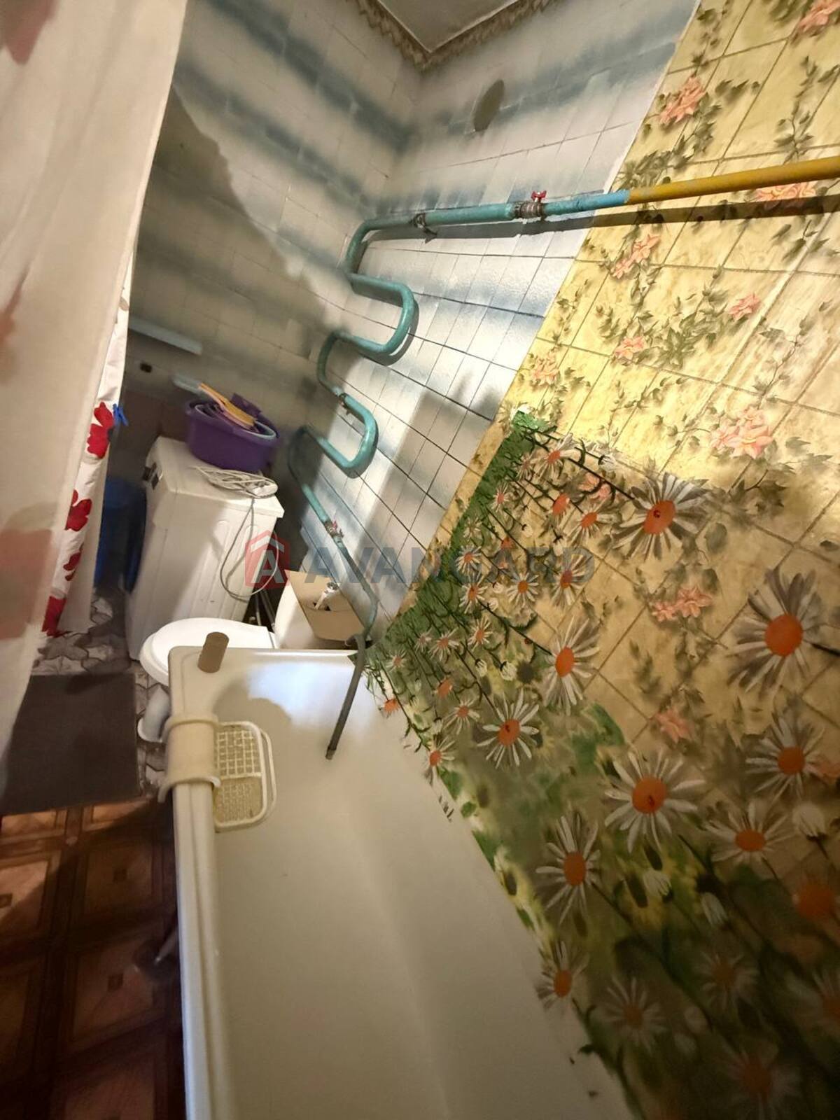 �������, 95 ��.�. ���� 14