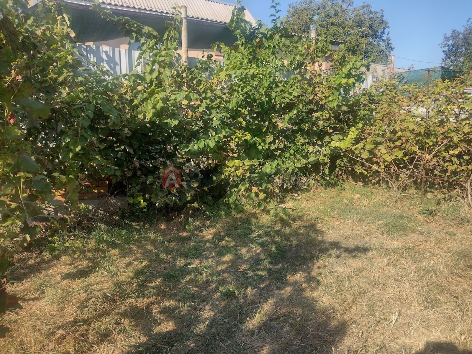 , 65 ..  19