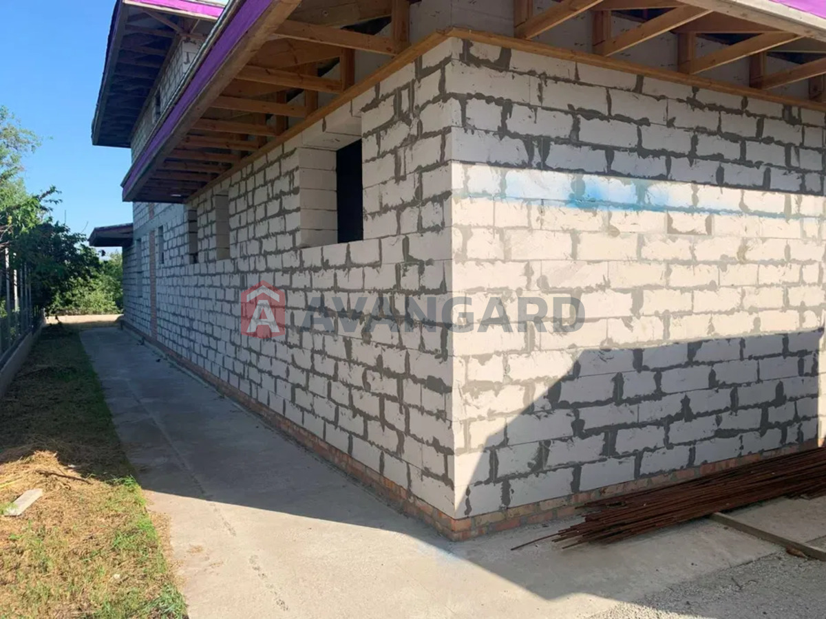 �������, 260 ��.�. ���� 8