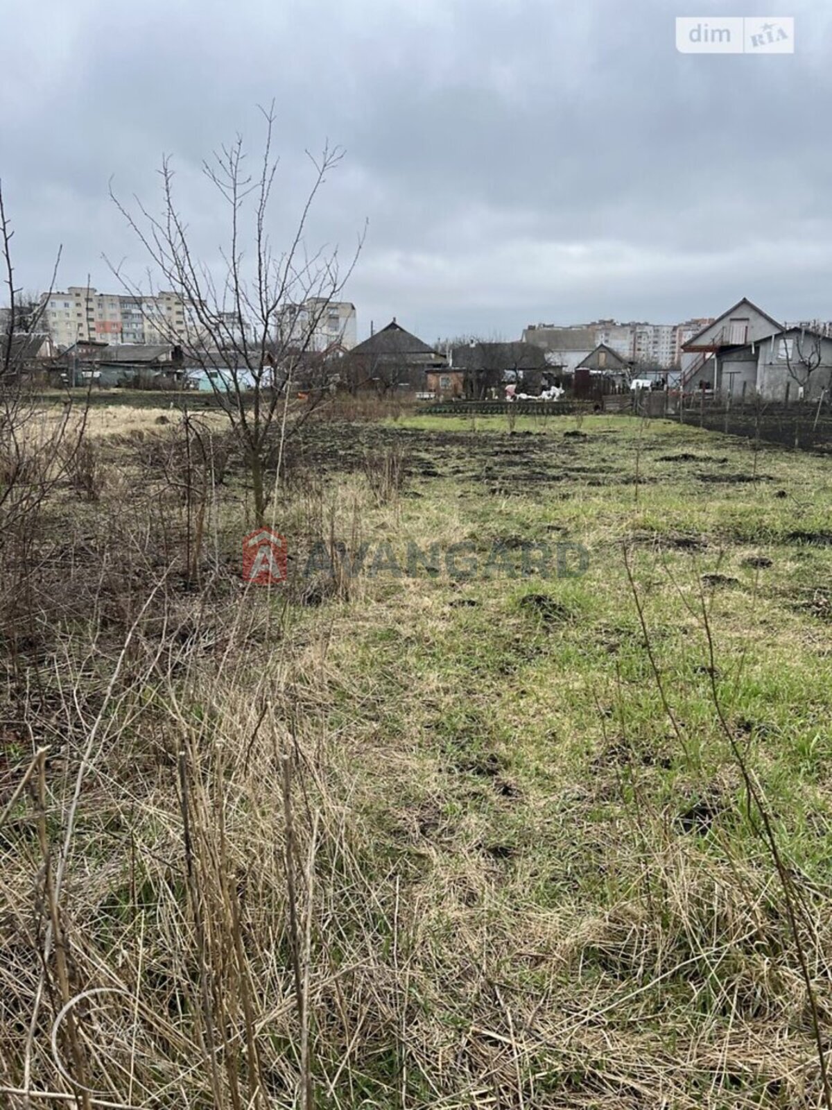 �������, 64 ��.�. ���� 11