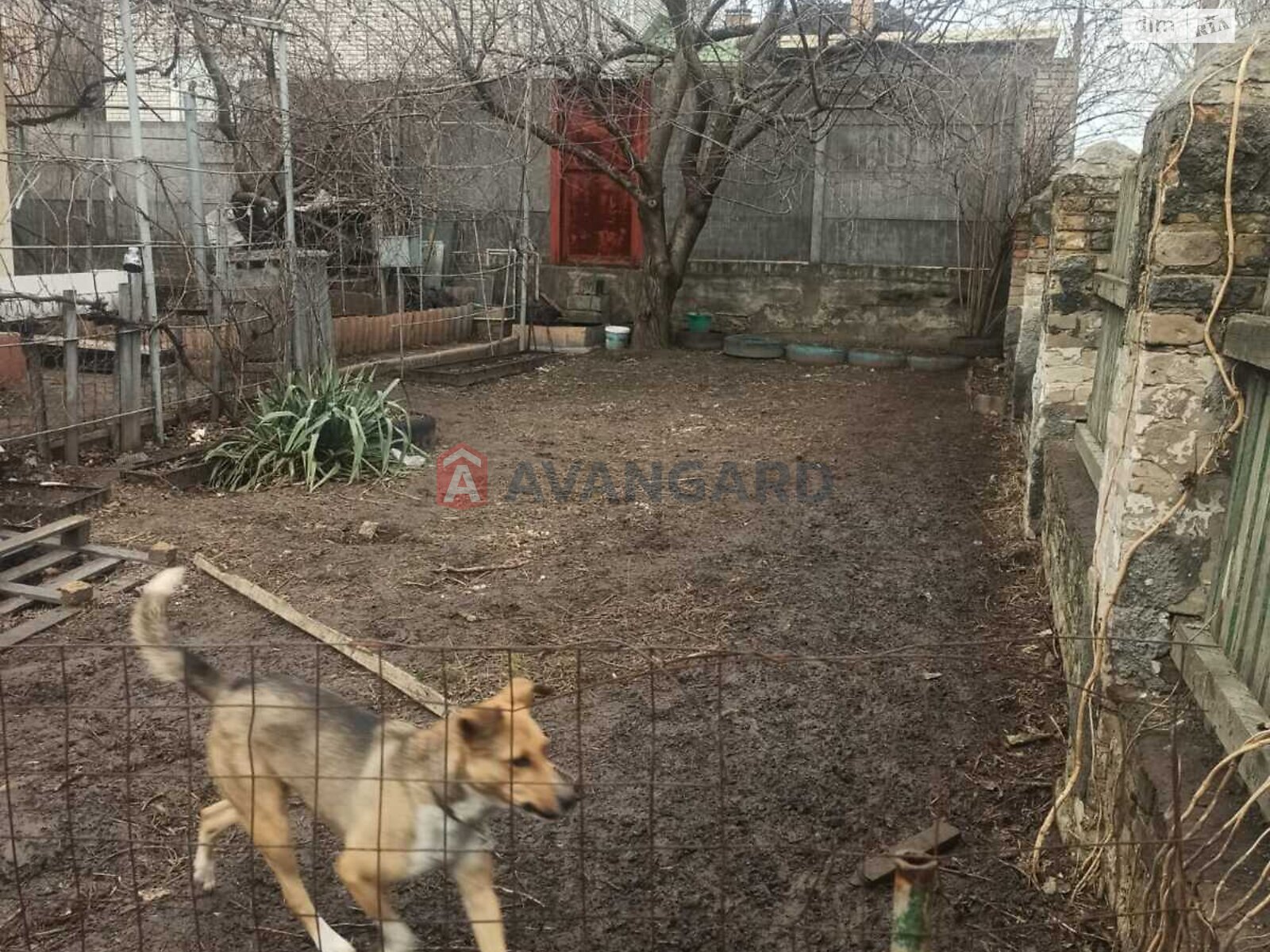 �������, 76 ��.�. ���� 2