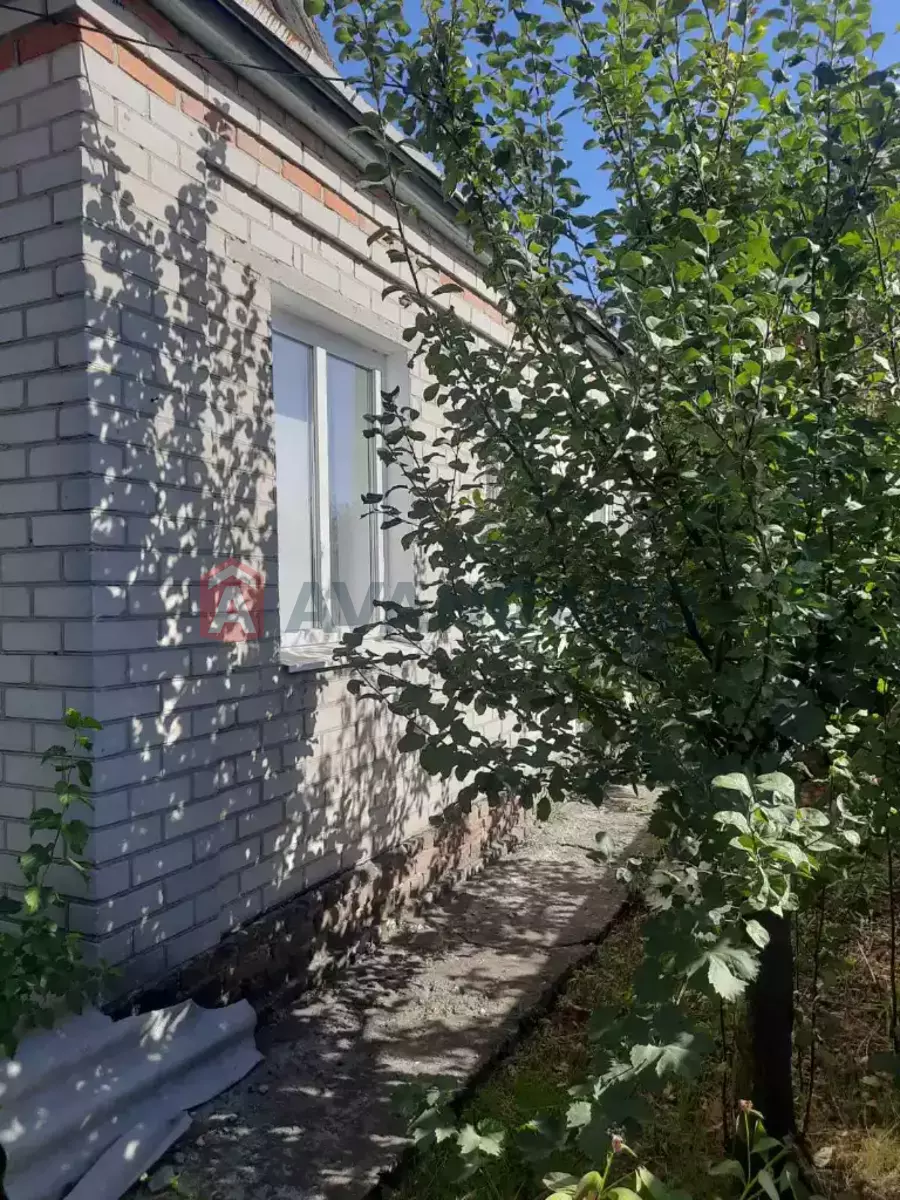 �������, 80 ��.�. ���� 2