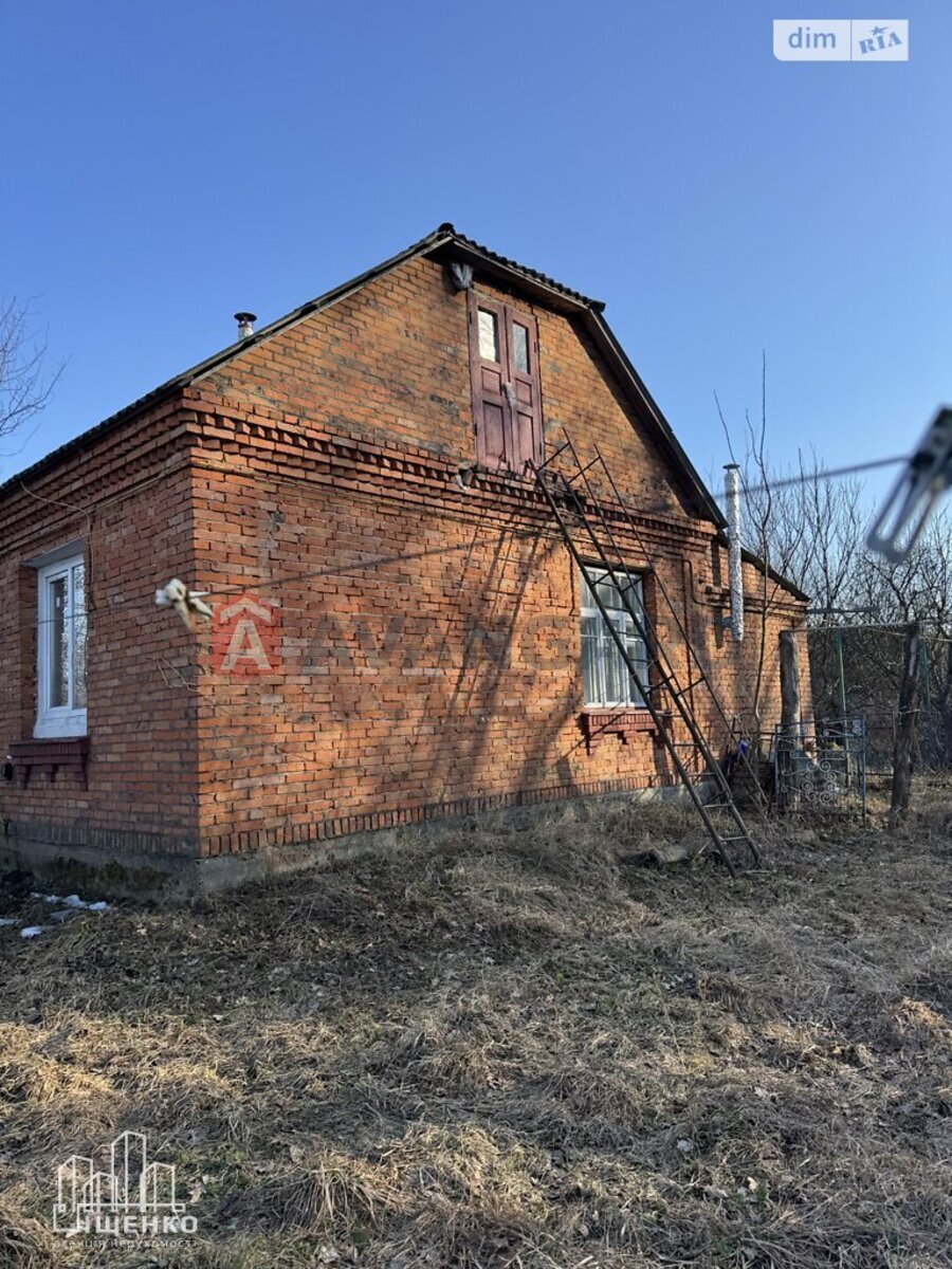 �������, 67 ��.�. ���� 19