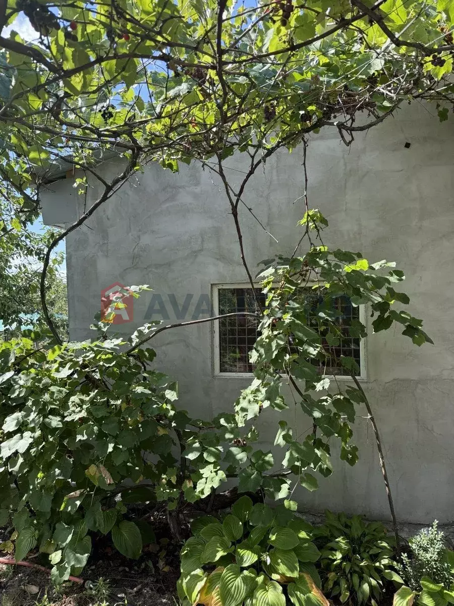 ����, 50 ��.�. ���� 3