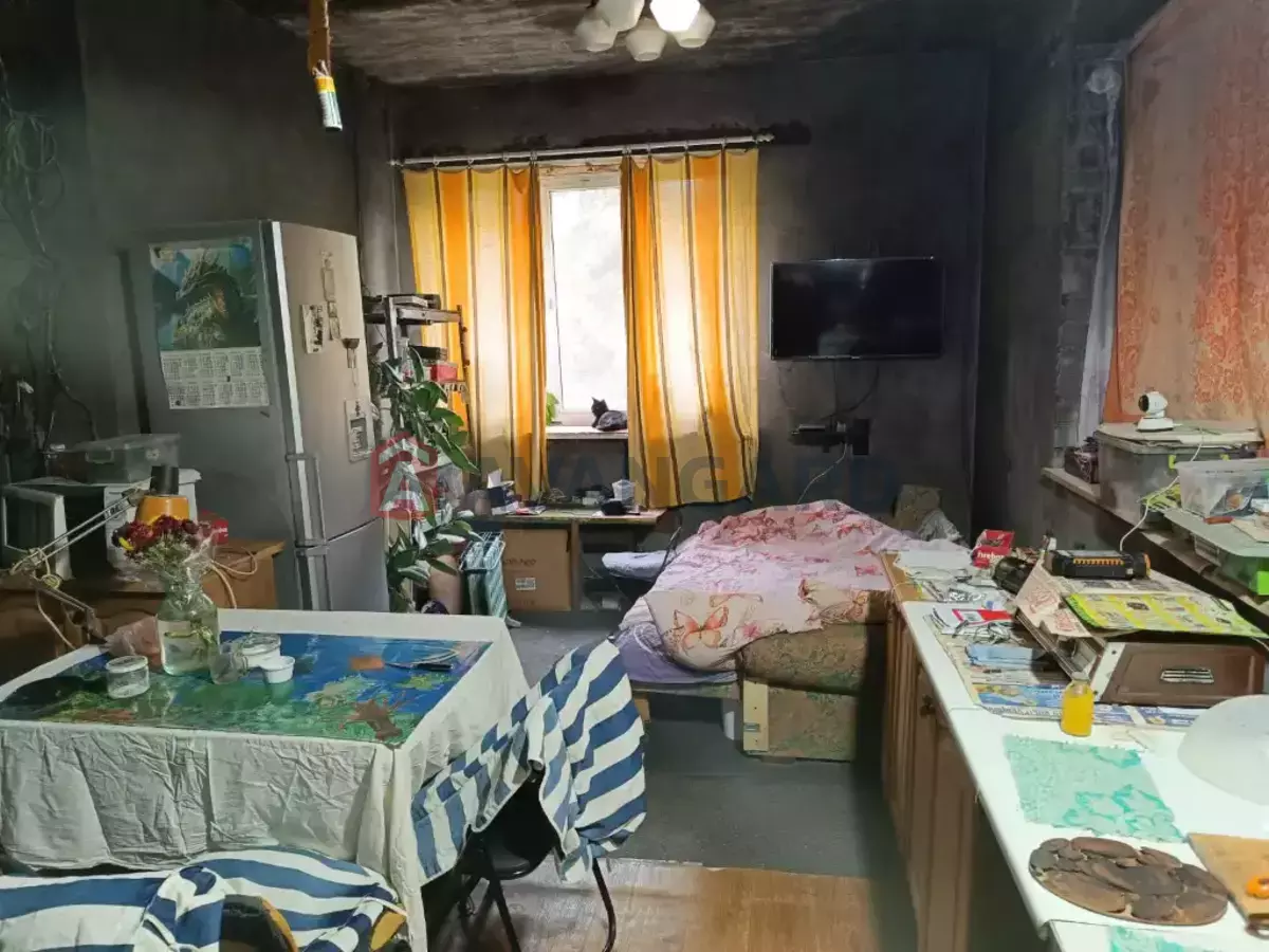 �������, 230 ��.�. ���� 11