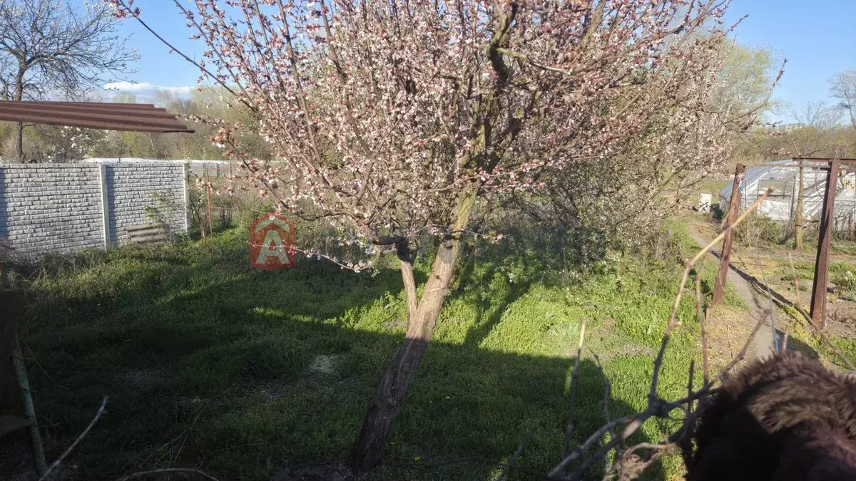 ���, 70 ��.�. ���� 3