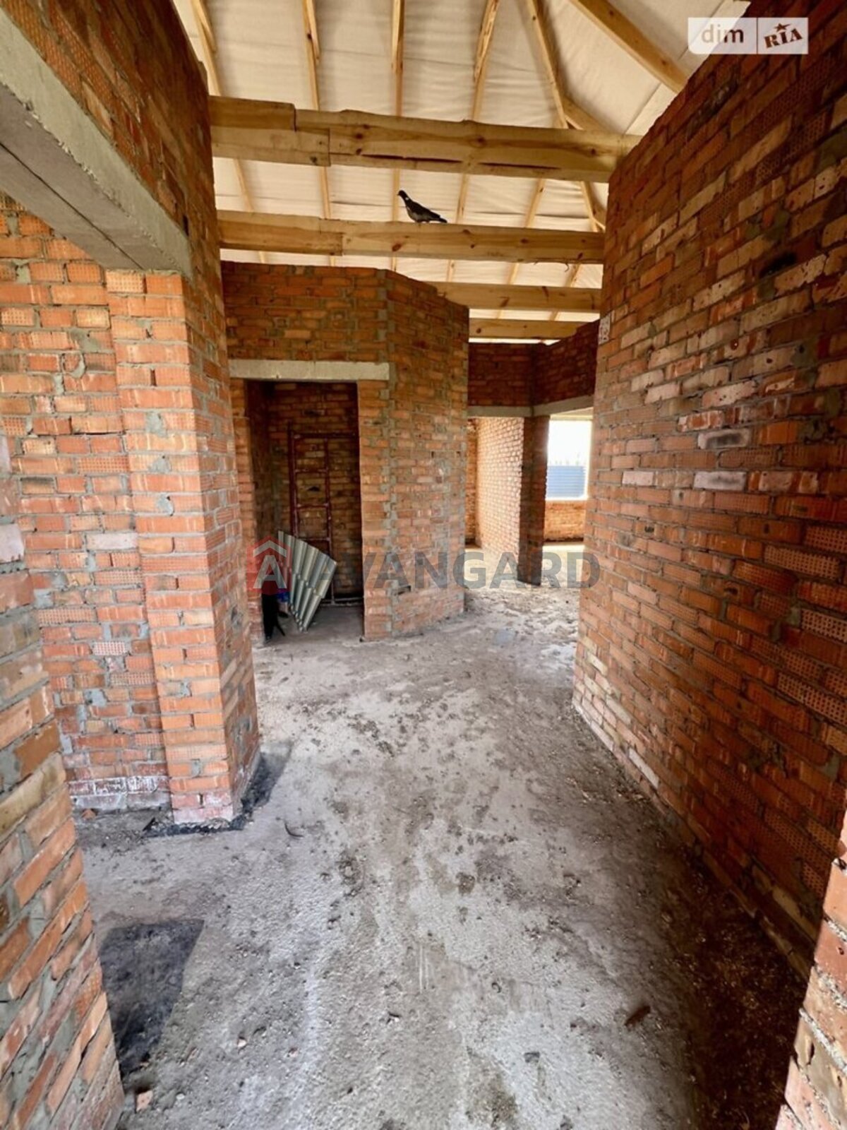 �������, 100 ��.�. ���� 10