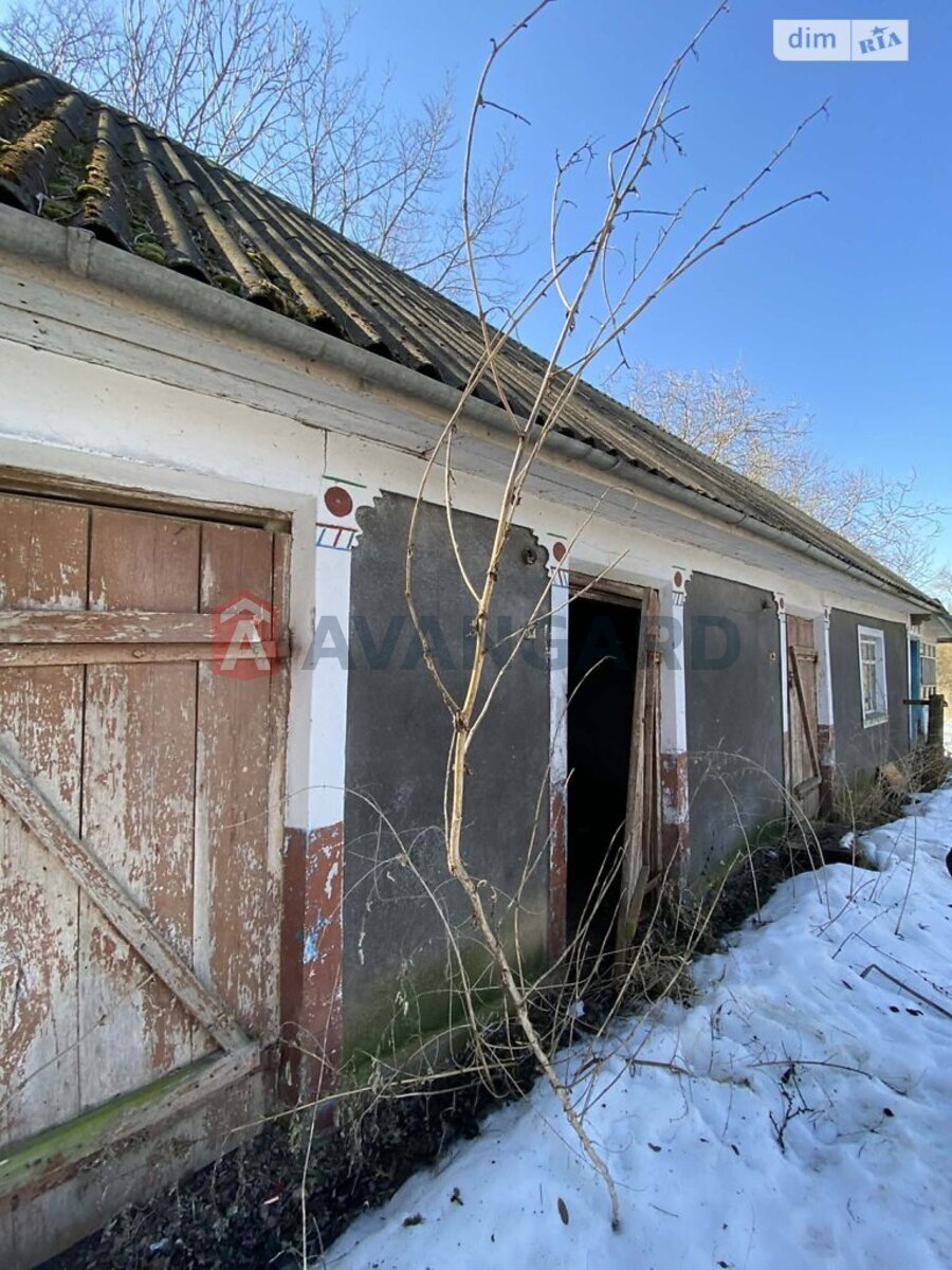 �������, 80 ��.�. ���� 14