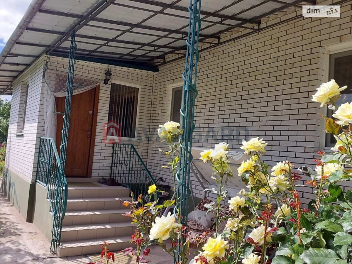 �������, 163 ��.�. ���� 6