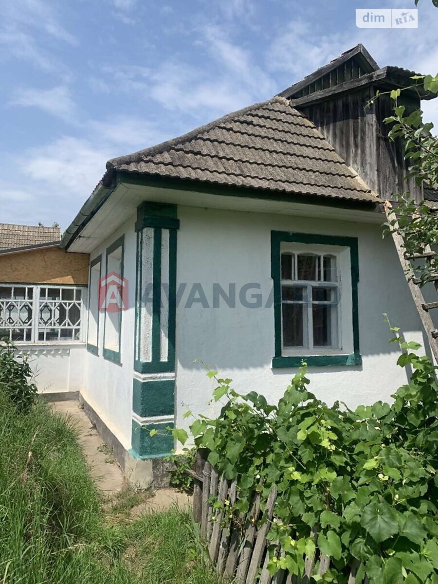 �������, 80 ��.�. ���� 2