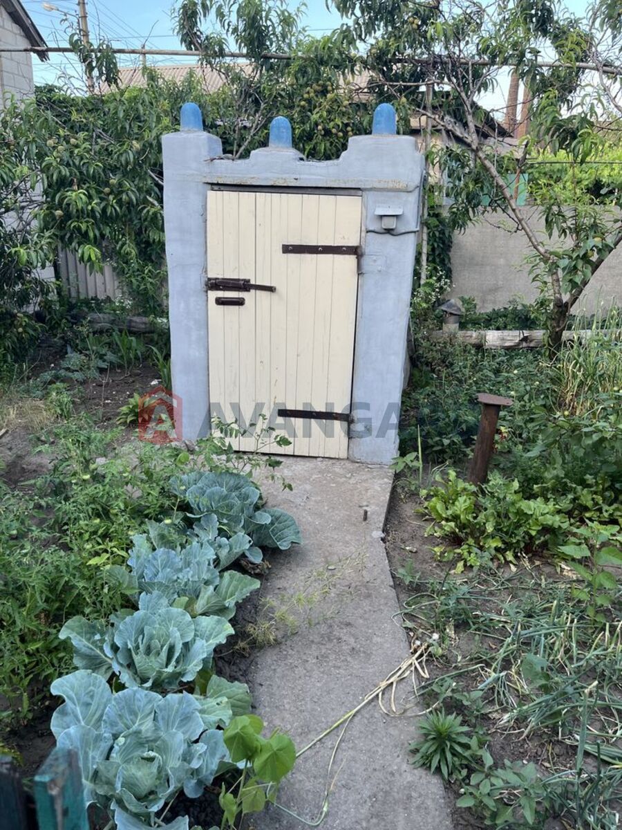 �������, 65 ��.�. ���� 4