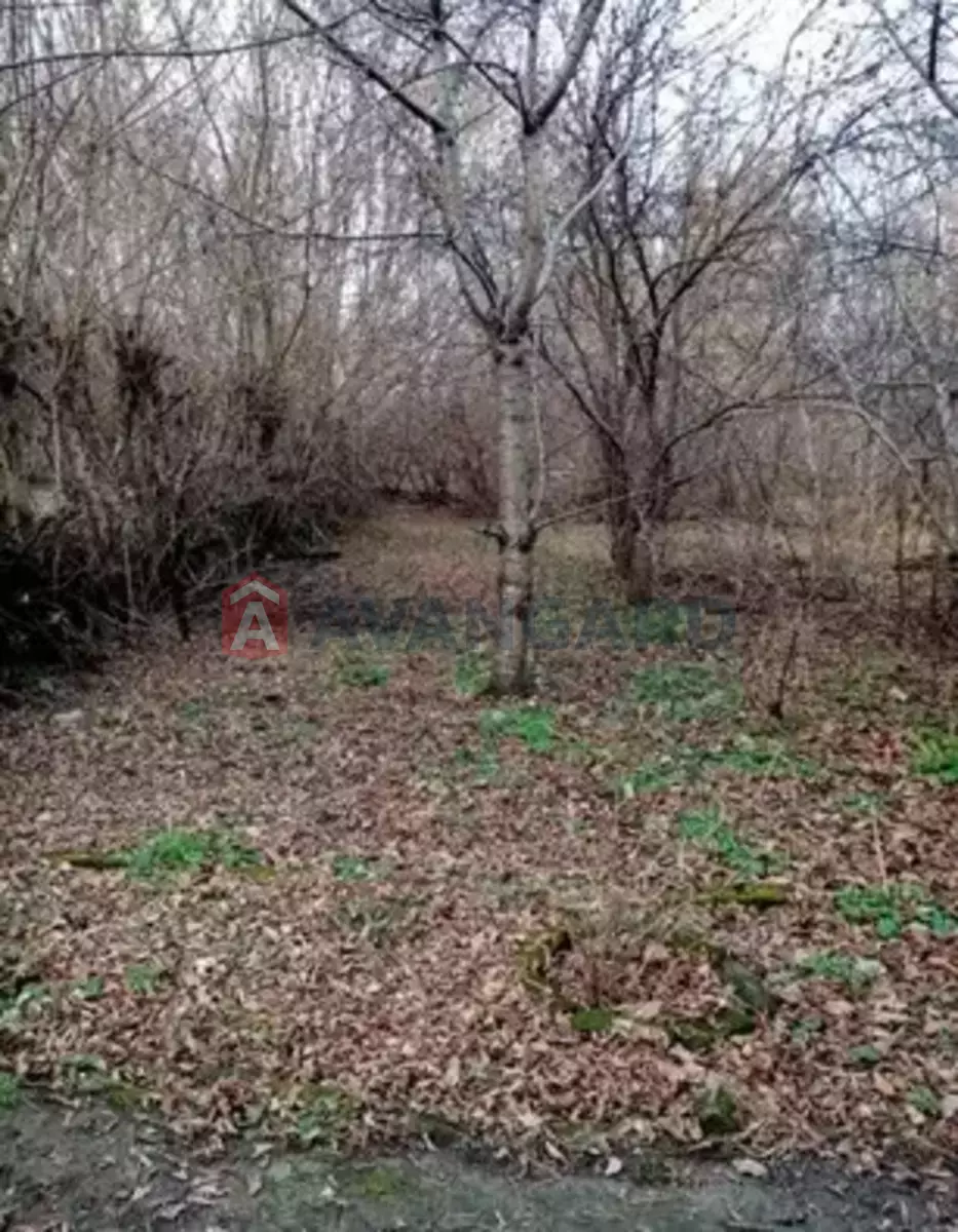 ���, 38 ��.�. ���� 2