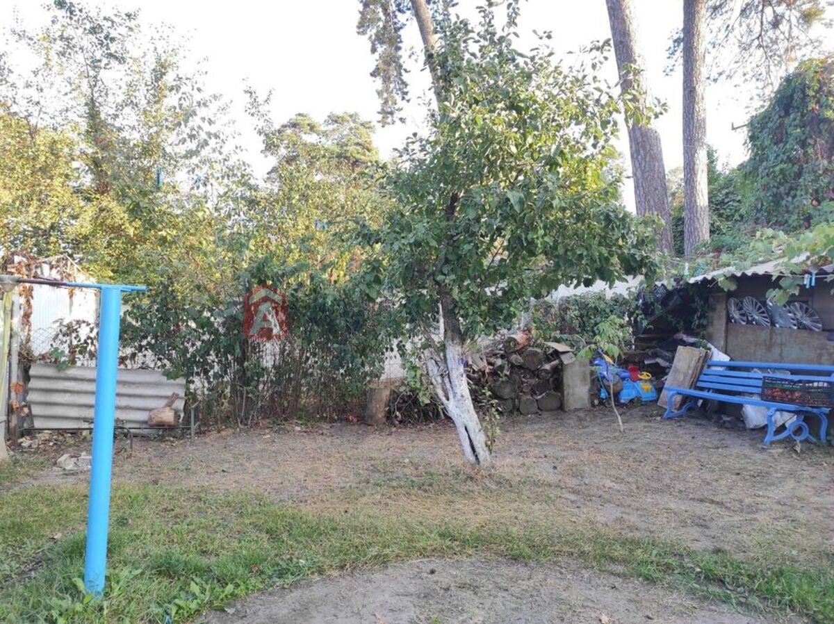 ������� �������, 50 ��.�. ���� 12