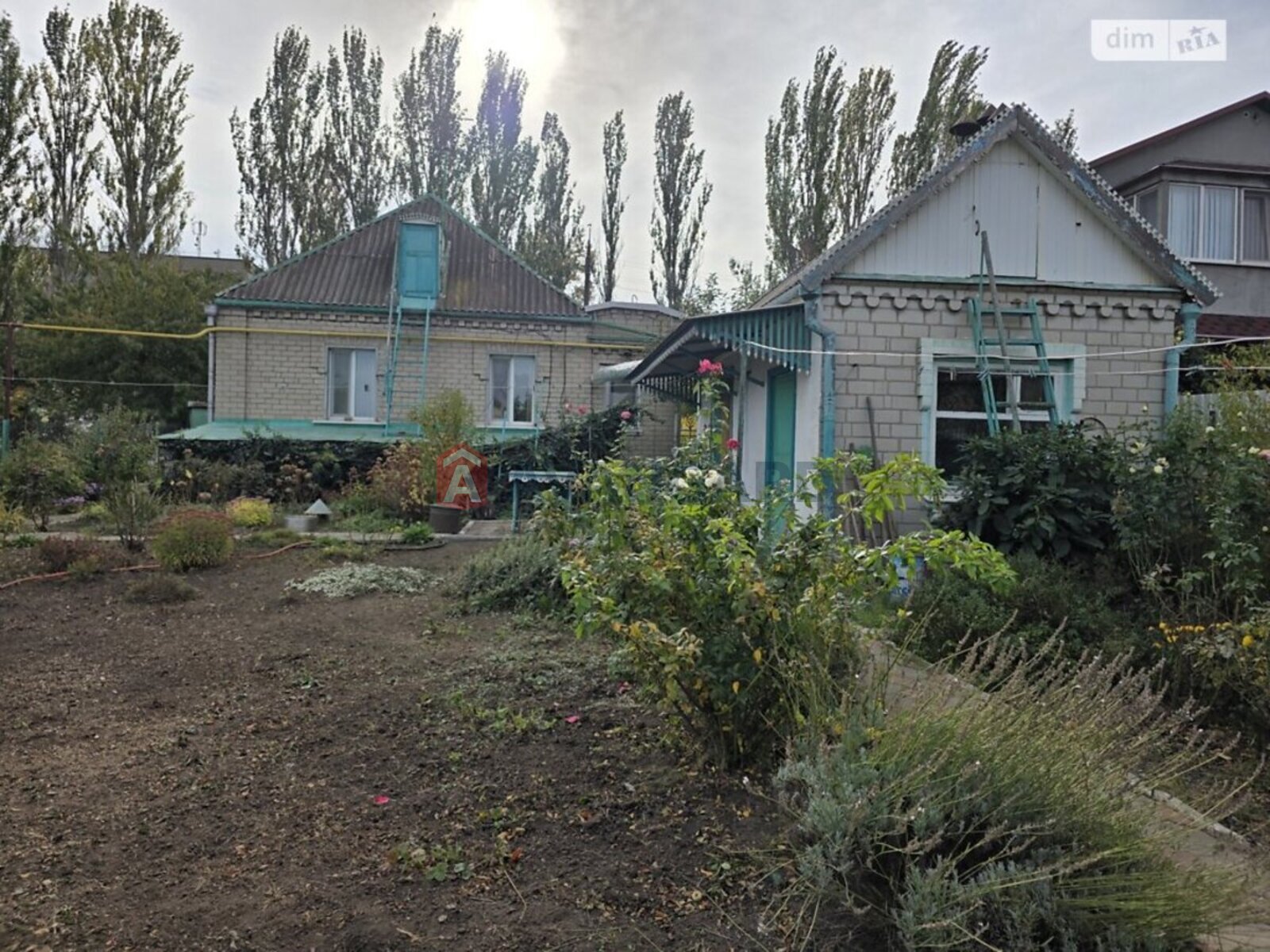 �������, 51 ��.�. ���� 3