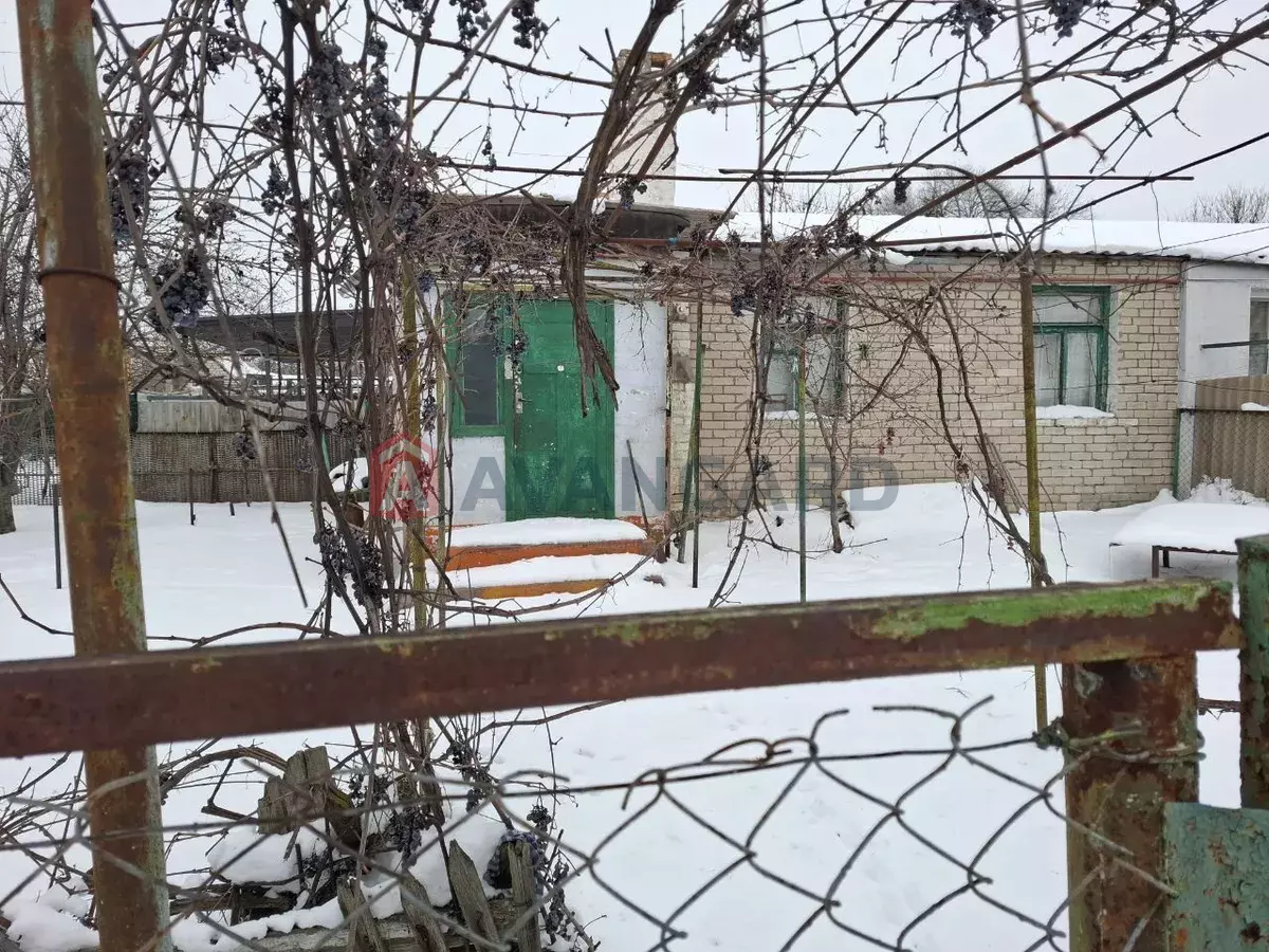 �������, 41 ��.�. ���� 1