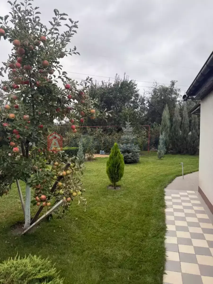 ���, 100 ��.�. ���� 3