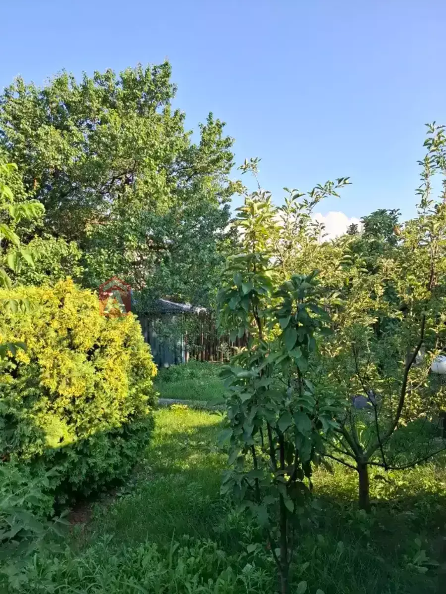 �������, 122 ��.�. ���� 8