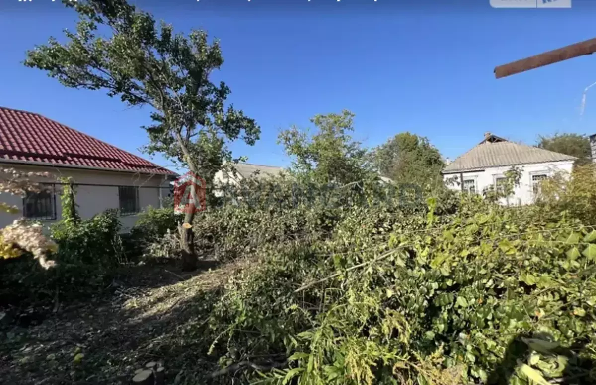 �������, 53 ��.�. ���� 1