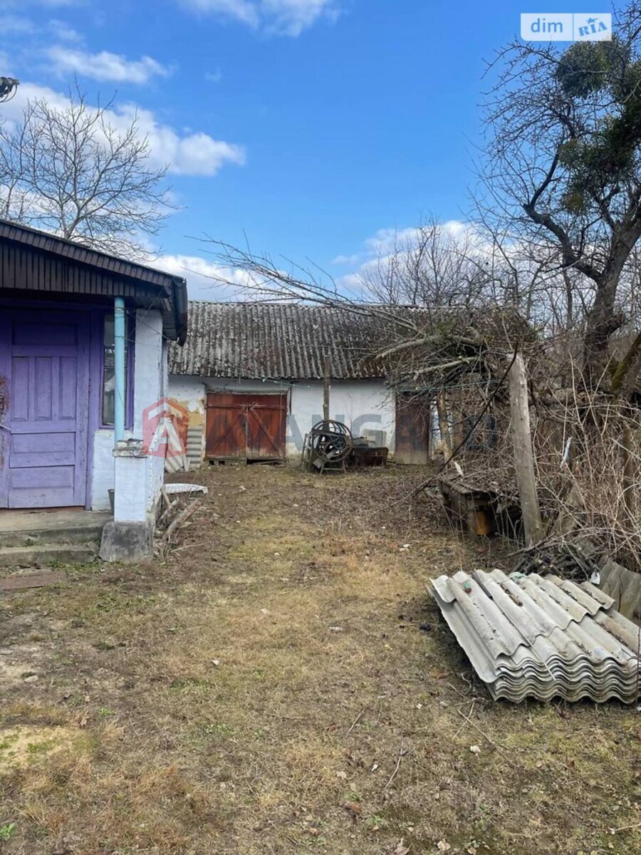 �������, 96 ��.�. ���� 11