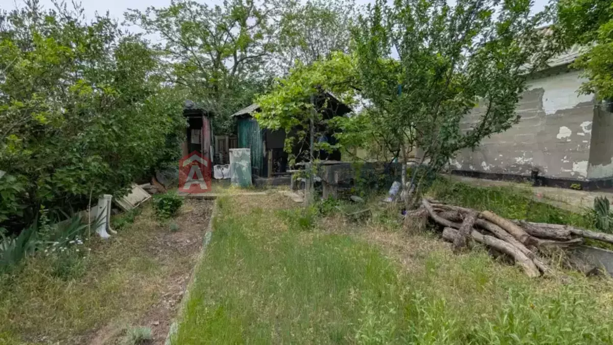 ����, 29 ��.�. ���� 6