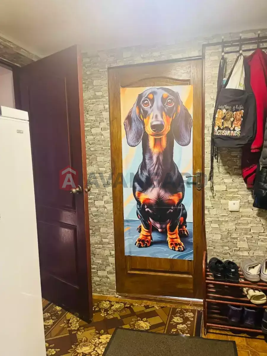 �������, 50 ��.�. ���� 17