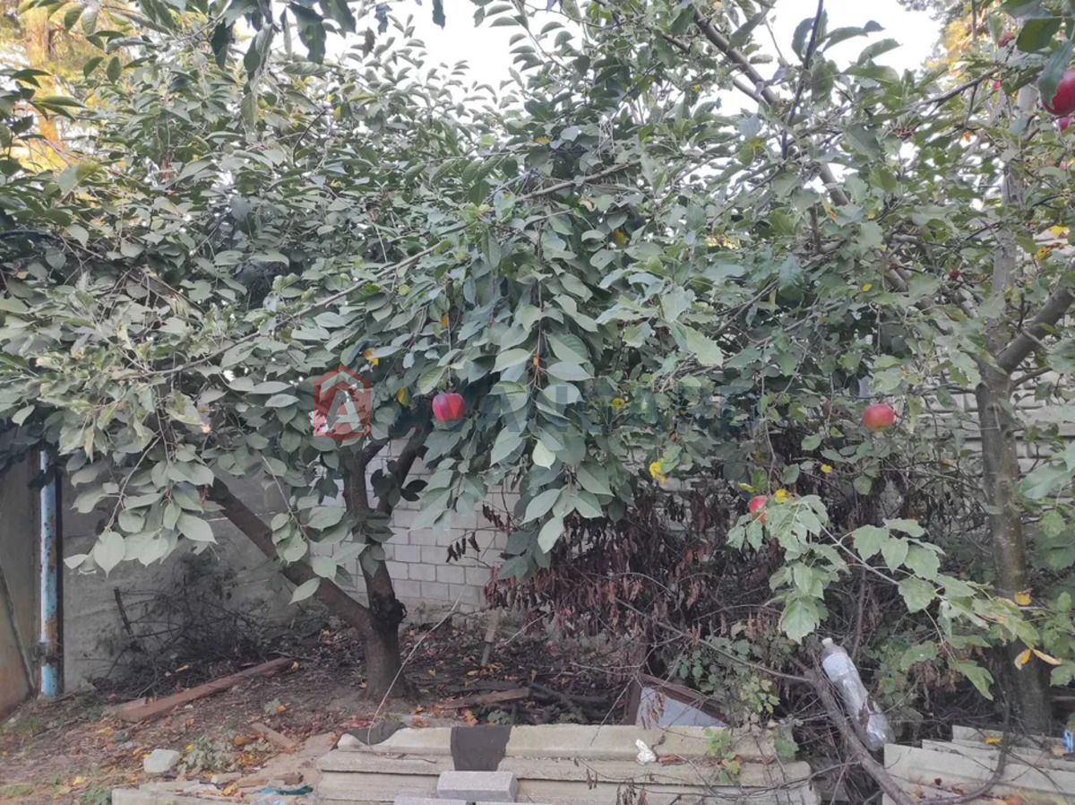 ������� �������, 50 ��.�. ���� 14